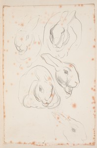 Rabbit sketched in 1922