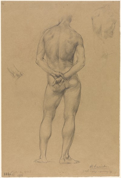 Standing Male Nude, back view