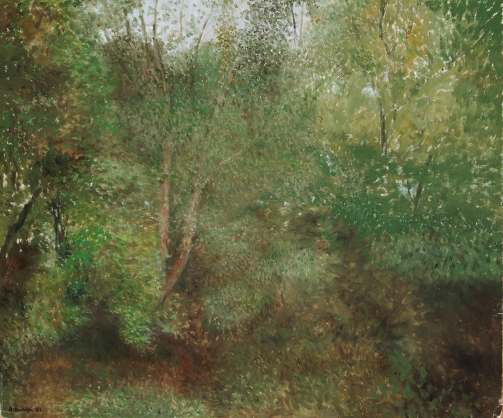 Birches and Undergrowth (1982)