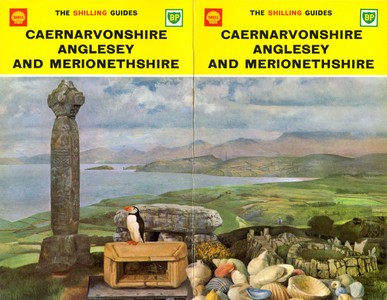 Caernarvonshire Anglesey and Merionethshire Shilling Guide