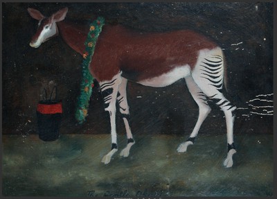 The Gentle Okapi