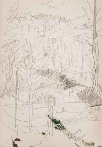 Hillside Woods - Sketch-0800