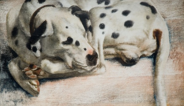 Grock, a Dalmatian Dog (1943)