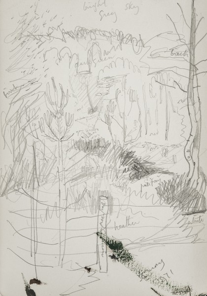 Sketch_05-04  Forest Fence (30th May 1971)