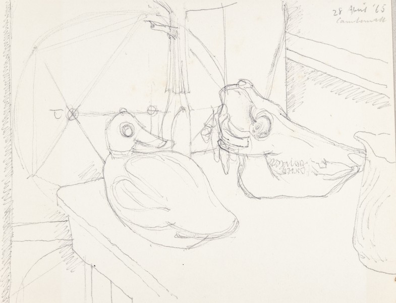 Sketch_17-031 Camberwell duck and skull still life (28th Apr 1965)