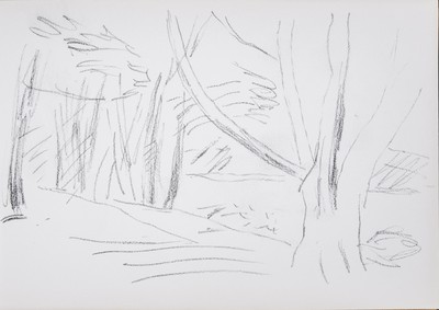 Sketch_09-15 woodland trees