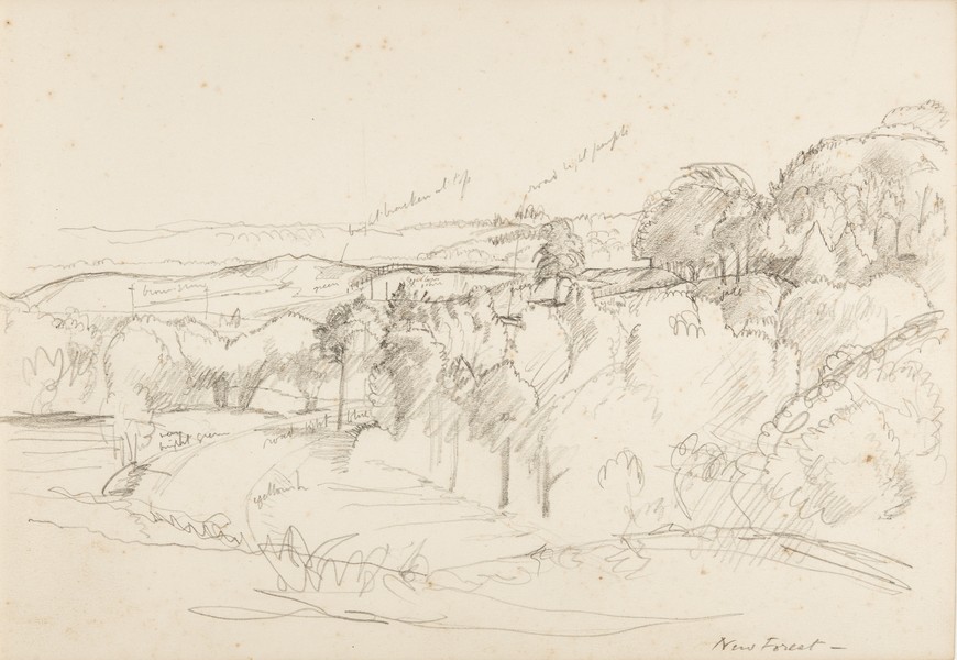 Sketch_20-093 New Forest (Date unknown)