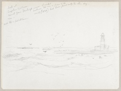 Sketch_18-50 Seals at Longstone Lighthouse Farne