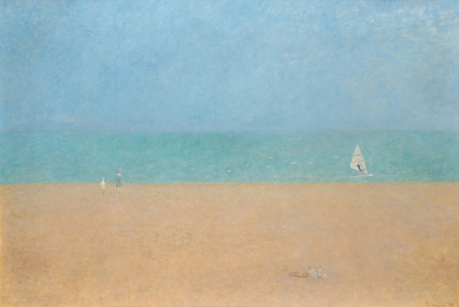 Dead Seagull and Windsurfer (1985)